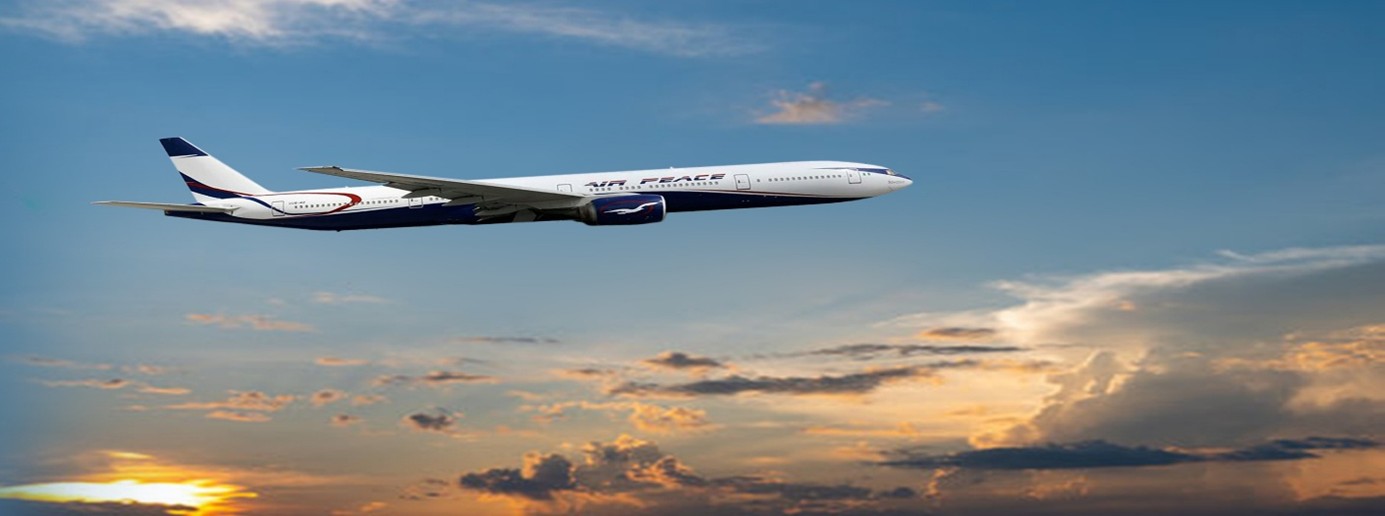Book a Flight